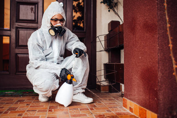 Attic and Crawl Space Rodent Treatment in North Shore
